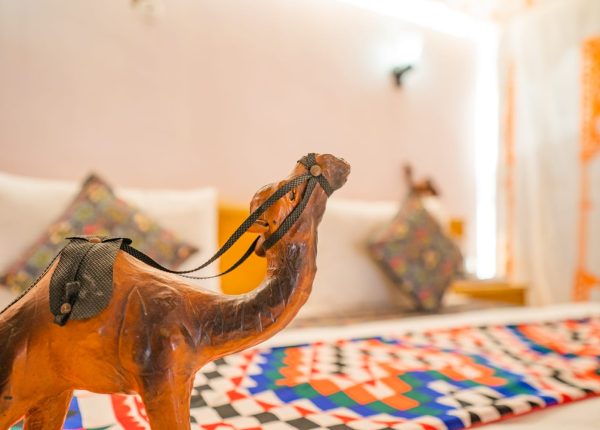 WhatsApp Image 2025-10-12 at 1.26.14 PM